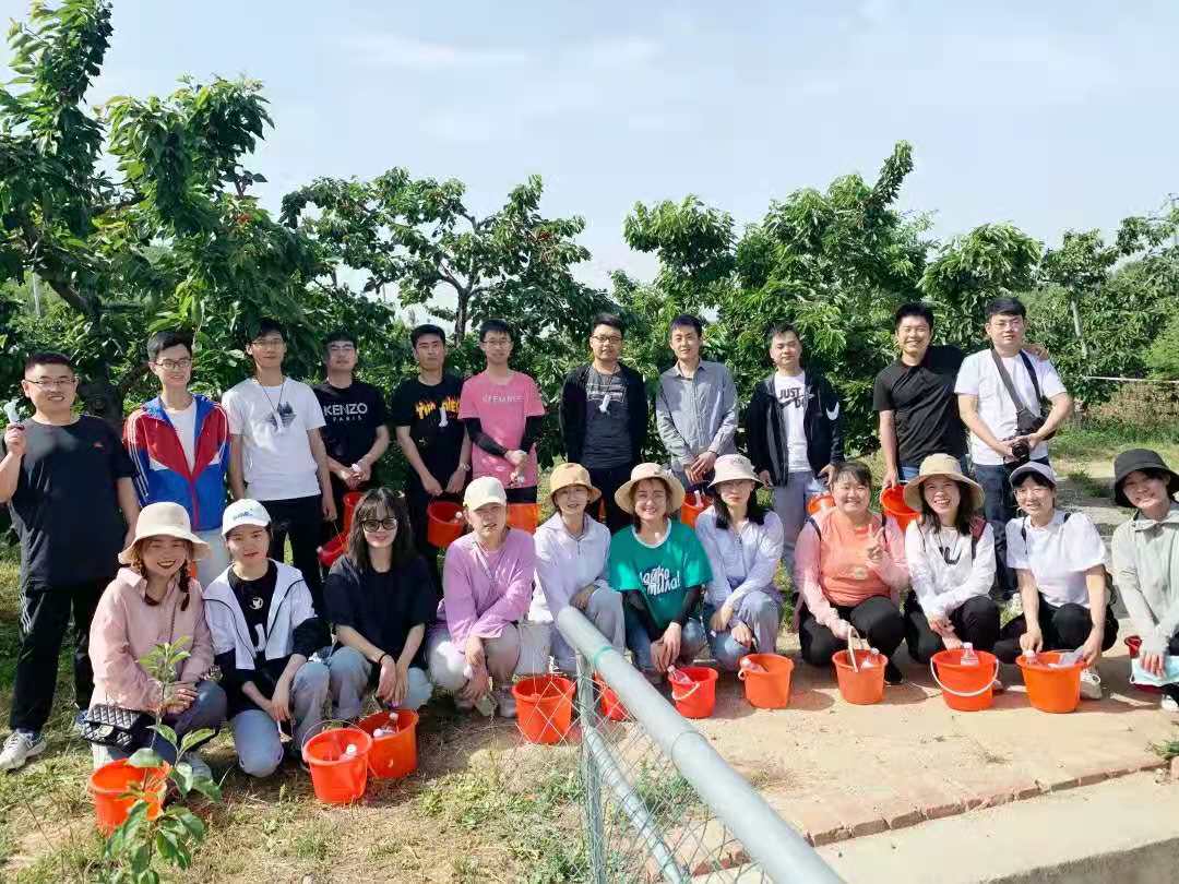 團建圖片