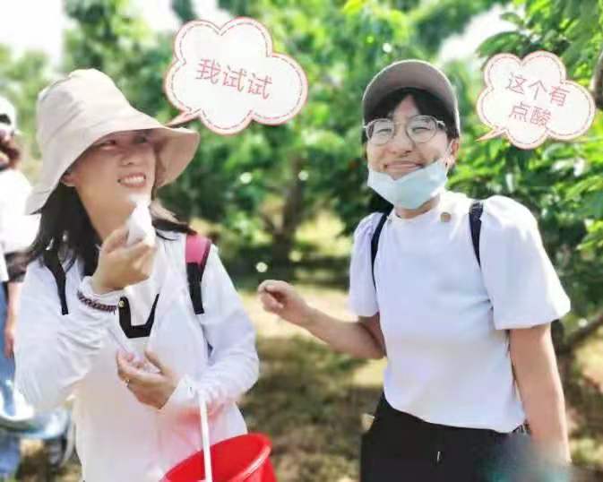 團建